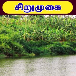 Sirumugai