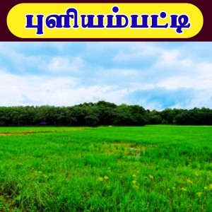 Puliyampatti